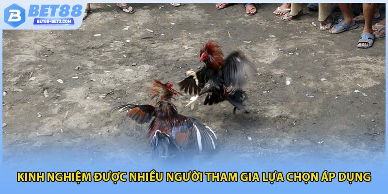 Kinh nghiệm được nhiều người tham gia lựa chọn áp dụng