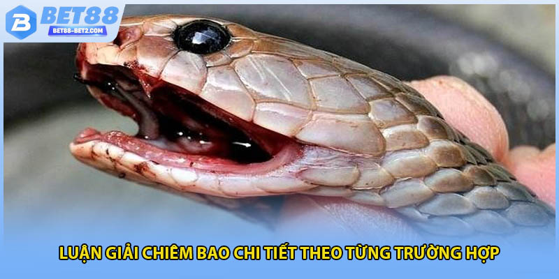 Luận giải chiêm bao chi tiết theo từng trường hợp