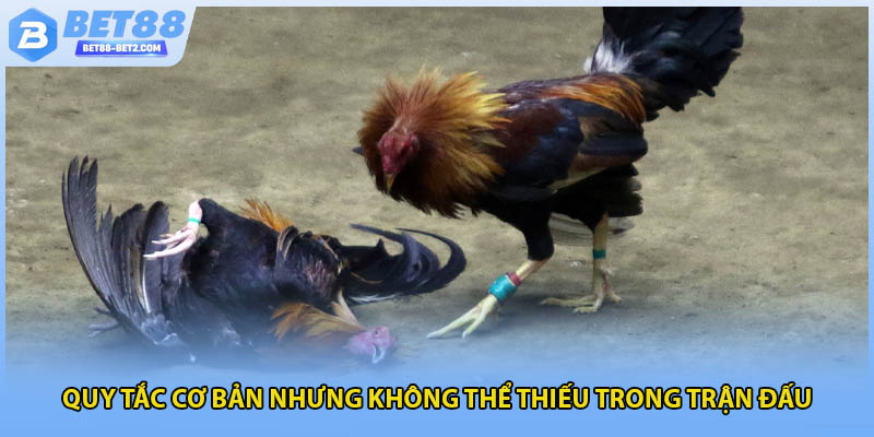 Quy tắc cơ bản nhưng không thể thiếu trong trận đấu
