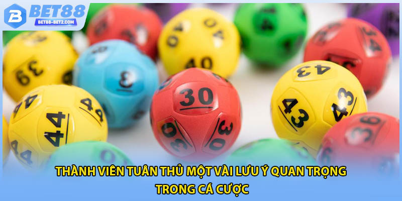 Thành viên tuân thủ một vài lưu ý quan trọng trong cá cược