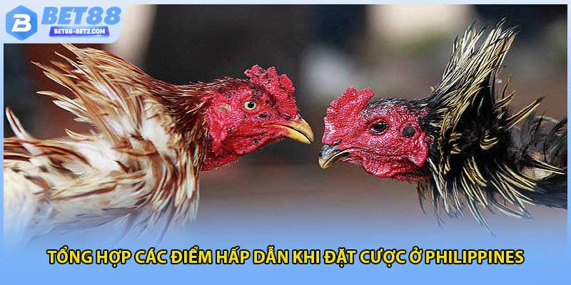 Tổng hợp các điểm hấp dẫn khi đặt cược ở philippines